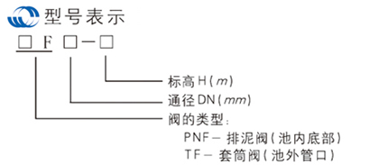 PNF、TF1-2.jpg